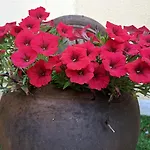 Val De